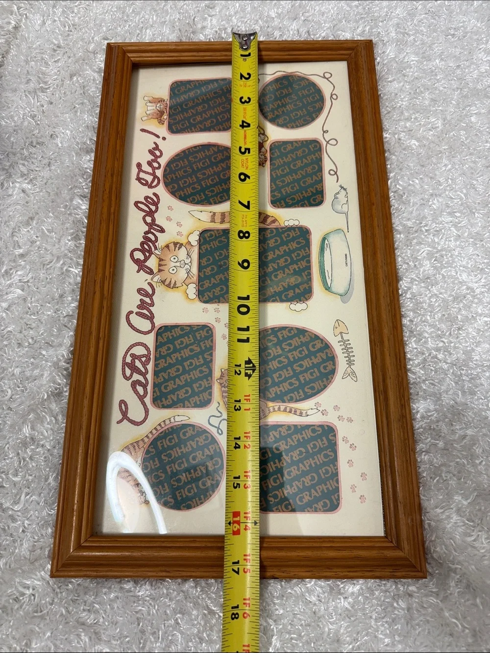Framed picture holder for cats only!